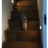 Սնուցող սենսոր LED լույսի վրա մարտկոցների վրա